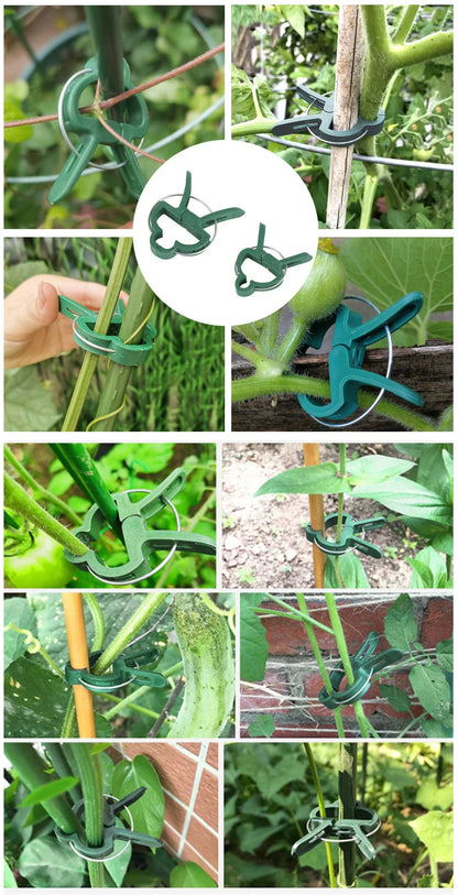 Klipsy ogrodowe do roślin – wielorazowe 🌿
