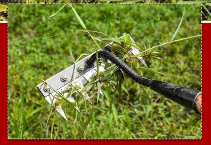 Metalowe grabki ogrodowe 5/6/7/8 zębów – stal węglowa 🌿